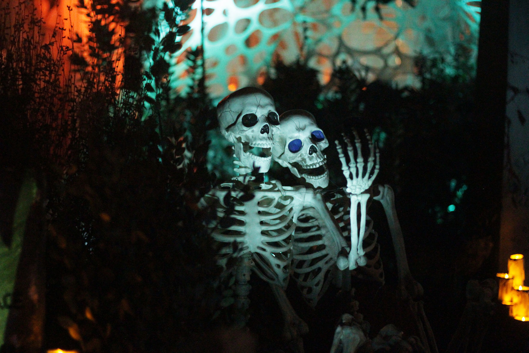Evil Vines Cemetery